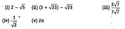 NCERT Solutions For Class 9 Maths Chapter 1 Number Systems ex5 1